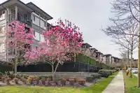 217 3178 DAYANEE SPRINGS BOULEVARD - thumbnail 27