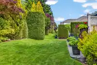 158 8737 212 STREET - thumbnail 29