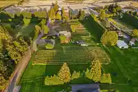 33930 MCCONNELL ROAD - thumbnail 2