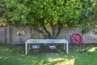 2580 CAMBRIDGE STREET - thumbnail 9