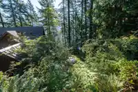 316 SASAMAT LANE - thumbnail 16