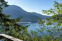 316 SASAMAT LANE - thumbnail 9