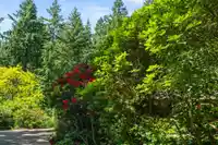 5281 236 STREET - thumbnail 35