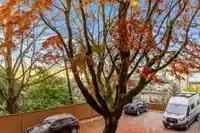 213 711 E 6TH AVENUE - thumbnail 11