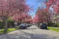 14 W 14TH AVENUE - thumbnail 33
