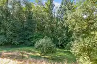 25742 116 AVENUE - thumbnail 10