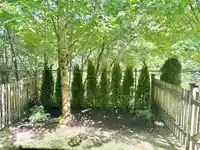 70 20498 82 AVENUE - thumbnail 25