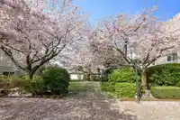 102 9948 151 STREET - thumbnail 26