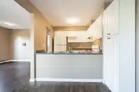 13127 BALLOCH DRIVE - thumbnail 12