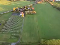 7463 216 STREET - thumbnail 35