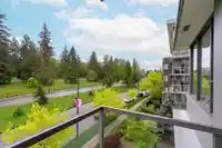 503 4539 CAMBIE STREET - thumbnail 8