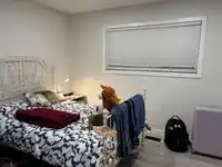 24634 56A AVENUE - thumbnail 12