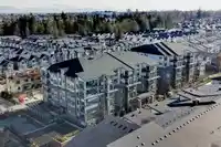 406 8538 203A STREET - thumbnail 37