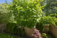 109 8217 204B STREET - thumbnail 36