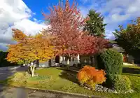 20492 WALNUT CRESCENT - thumbnail 38