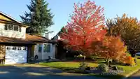 20492 WALNUT CRESCENT - thumbnail 39