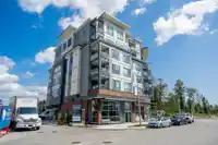 417 7920 206 STREET - thumbnail 2