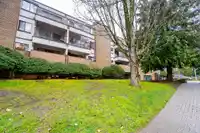 205 13364 102 AVENUE - thumbnail 34