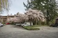 214 7411 MINORU BOULEVARD - thumbnail 27