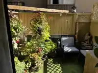 102 2234 PRINCE ALBERT STREET - thumbnail 1