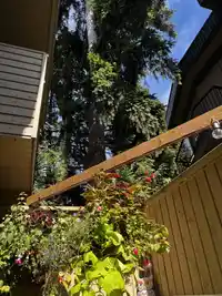 102 2234 PRINCE ALBERT STREET - thumbnail 17