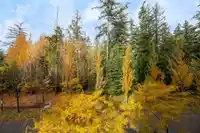 403 5838 BERTON AVENUE - thumbnail 22