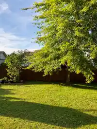 26943 32A AVENUE - thumbnail 39