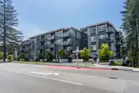 303 707 E 3RD STREET - thumbnail 38