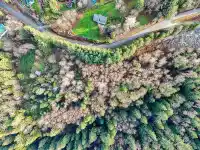 6183 RYDER LAKE ROAD - thumbnail 2