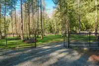 3955 248 STREET - thumbnail 23
