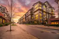 309 8561 203A STREET - thumbnail 1