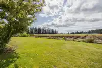 163 3665 244 STREET - thumbnail 30