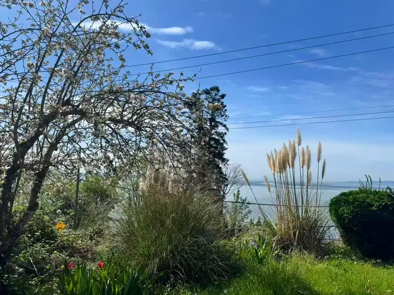 14391 MARINE DRIVE - photo 4 of 18