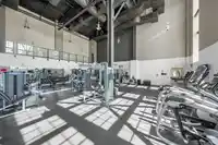 402 265 ROSS DRIVE - thumbnail 24