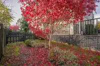 18 21150 76A AVENUE - thumbnail 37