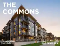 B215 8230 208B STREET - thumbnail 1