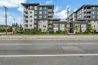 B225 20834 80 AVENUE - thumbnail 20