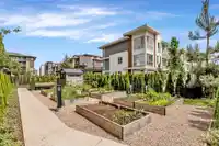 413 20829 77A AVENUE - thumbnail 29