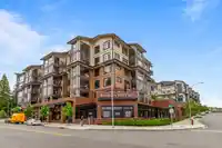 301 20376 86 AVENUE - thumbnail 3