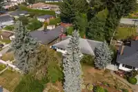 4157 PORTLAND STREET - thumbnail 8