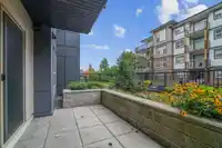 113 5486 199A STREET - thumbnail 20