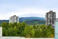 615 3229 ST JOHNS STREET - thumbnail 29