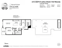 615 3229 ST JOHNS STREET - thumbnail 39
