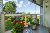303 20381 96 AVENUE - thumbnail 30