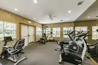 303 20381 96 AVENUE - thumbnail 33