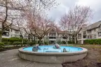 301 22025 48 AVENUE - thumbnail 38