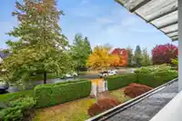 6828 CYPRESS STREET - thumbnail 17