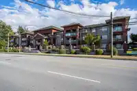 206 19774 56 AVENUE - thumbnail 32