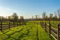 8575 240 STREET - thumbnail 31