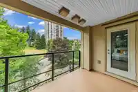 402 265 ROSS DRIVE - thumbnail 18